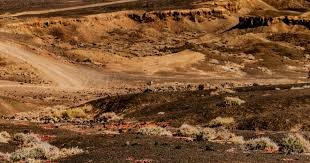 [欧冠]凯恩传射 拜仁2-0勒沃库森总分5-0进8强